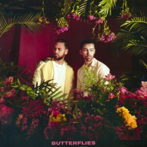 MAX & Ali Gatie – Butterflies Letra (Español e Inglés)